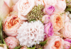 Why Has The Online Florist Become So Popular?