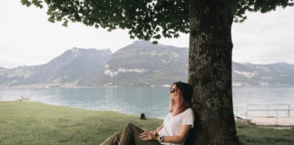 How To Keep Trees Healthy On Your Property