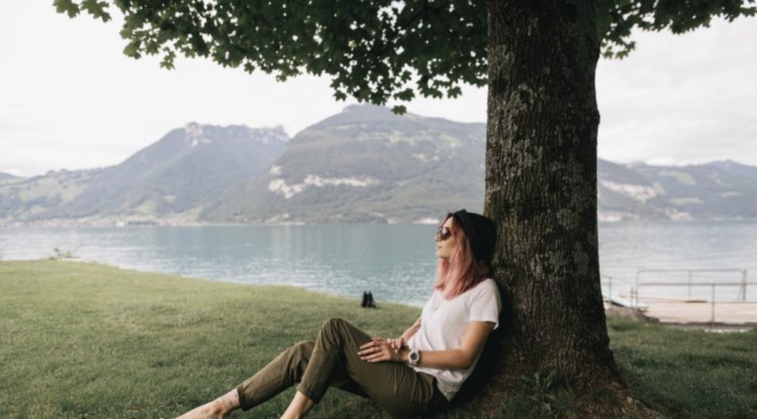 How To Keep Trees Healthy On Your Property